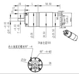 Voltaat 12V DC Geared Motor 36-555 with Encoder – 11RPM High Torque