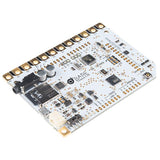 Voltaat Bare Conductive - Touch Board