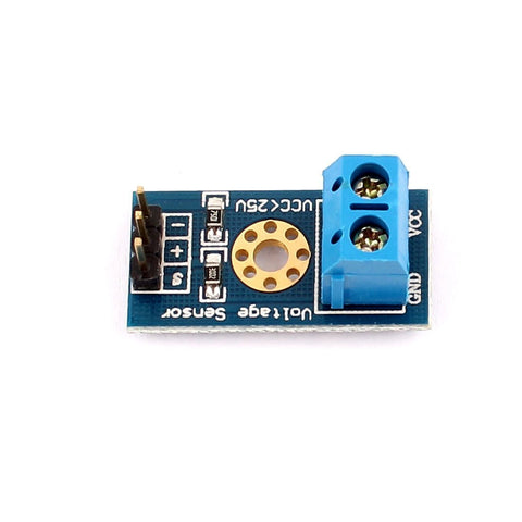 Voltage Detection Module